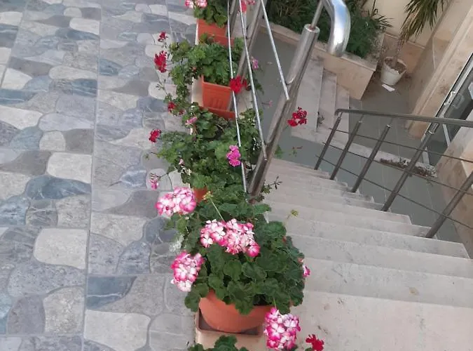 Family Coral Szálloda 3*