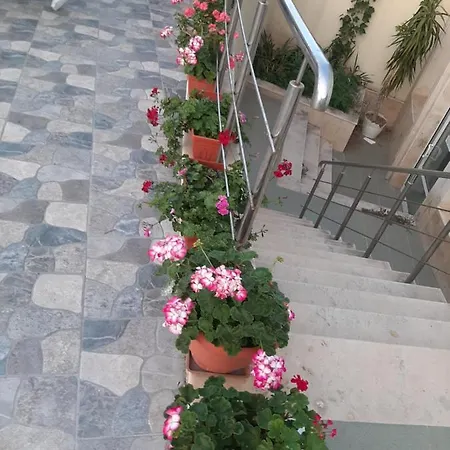 Family Coral Отель 3*