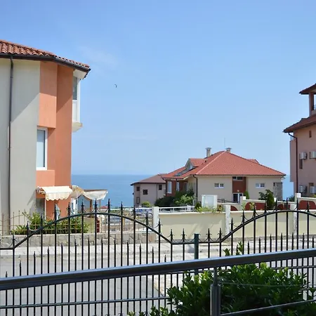 Family Coral ソゾポル