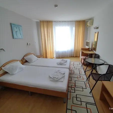 Family Coral ソゾポル