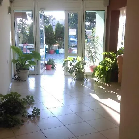 Family Coral ソゾポル