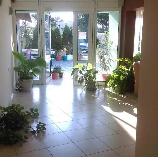 Family Coral סוזופול